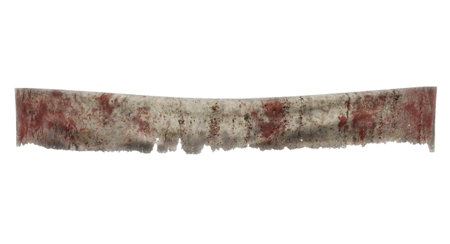 File:DisciplesBanner1-NukaWorld.png