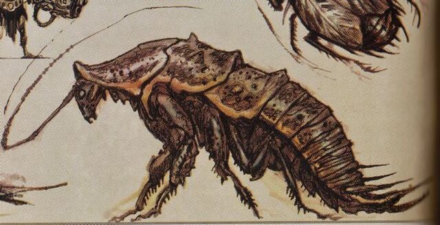 File:RadroachCA.jpg