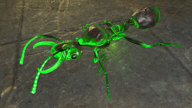 File:Fo4NW Glowing ant.png