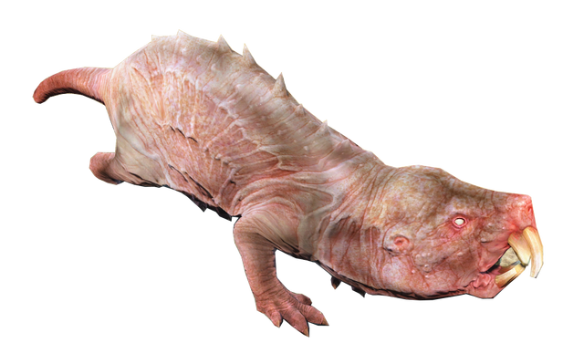 File:Mole rat fo4.png