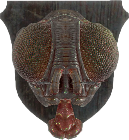 File:FO4-Mounted-Bloatfly-Head.png