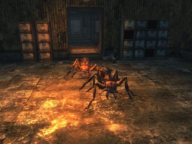 File:Ant Misbehavin.jpg