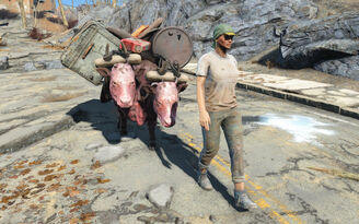 File:Trader-Fallout4.jpg