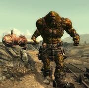 Behemoth4.jpg