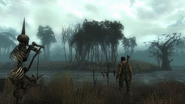 File:Point Lookout Swamp.jpg