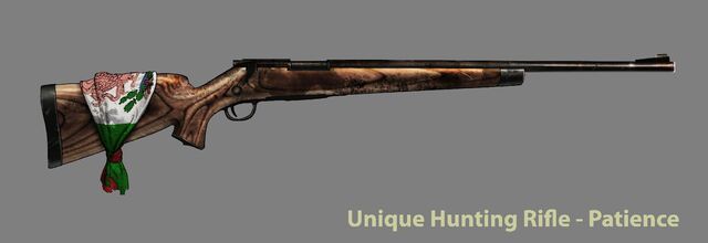 File:FOHuntingRifle.jpg
