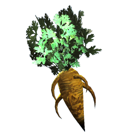 File:Fresh carrot.png