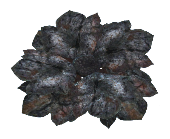 File:Black bloodleaf.png