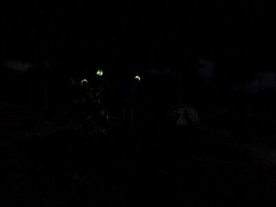 FightingNightGhouls