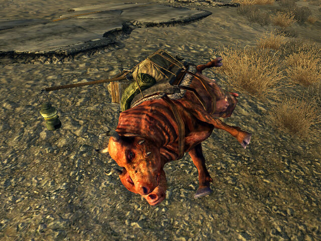 File:Brahmincorpse.jpg