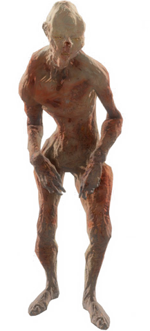 File:Fo4-rotting-feral-ghoul.png