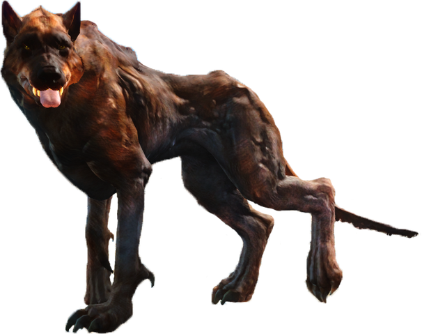 File:Fo4FH rabid wolf.png