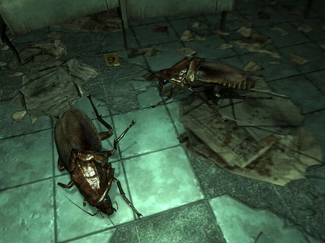 File:Radroaches BCB.jpg
