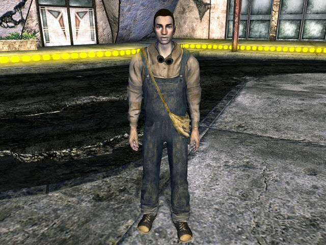 File:Traveler.jpg