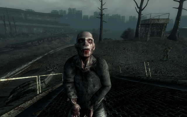 File:FO3 ZA closeup.png