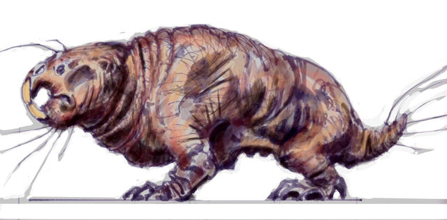 File:MoleratCA2.jpg
