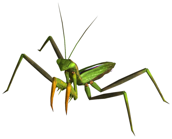 File:Giant mantis.png