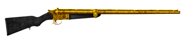 File:Val's Double Barrel Shotgun.png