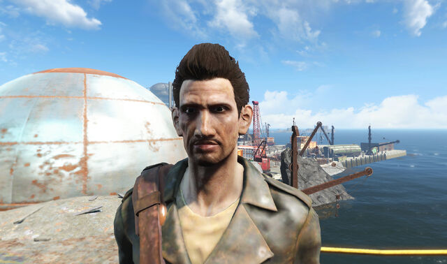 File:FO4 Patches.jpg