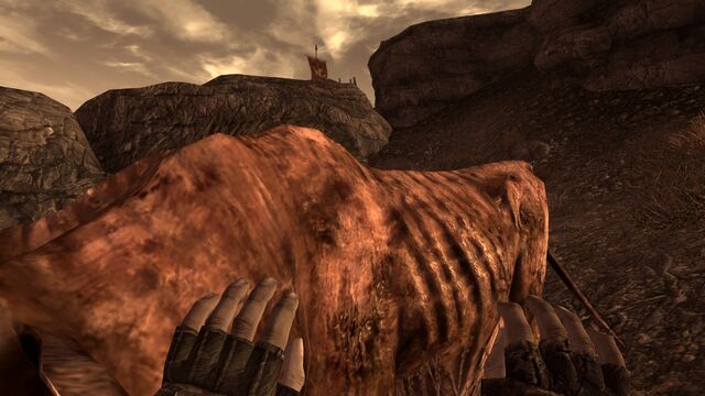 File:Brahmintipping1.jpg