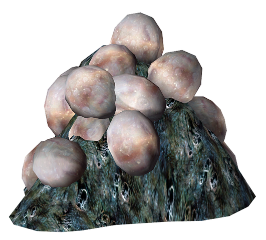 File:Mirelurk Eggs.png
