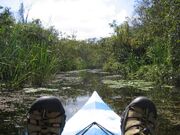 Kayak everglades feet-1024x768