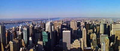 Concrete Jungle1