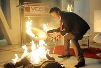 NTV1 familie VTMNB.jpg.h380.jpg.568
