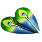 File:Peacock Feathers-icon.png