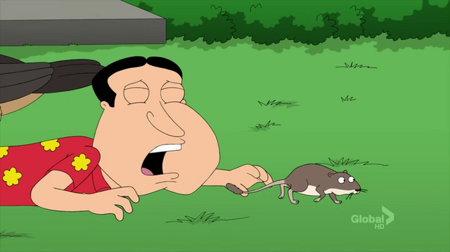 File:Tonygerbal.png