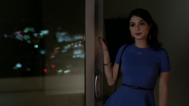 File:Famous.in.Love.S01E01.720p.HDTV.x264-FLEET 1127.jpg