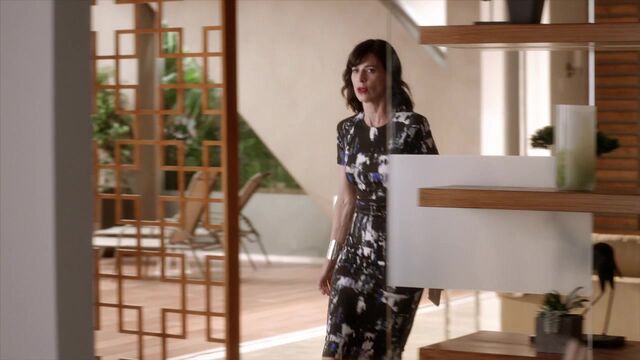 File:Famous.in.Love.S01E01.720p.HDTV.x264-FLEET 0337.jpg