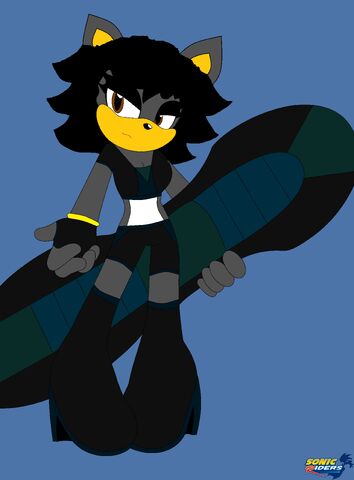 Archivo:Sonic Riders.jpg
