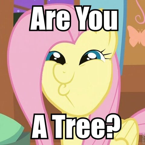 File:Fluttershy-20110409t132242-6ukhdmj.jpeg