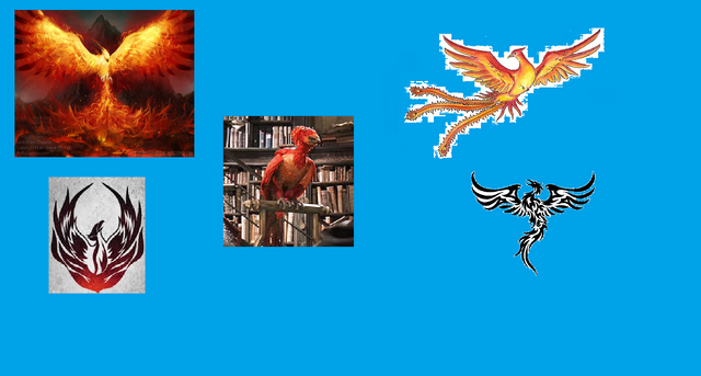 File:Phoenix images.png