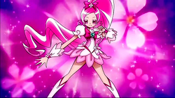 Blossom