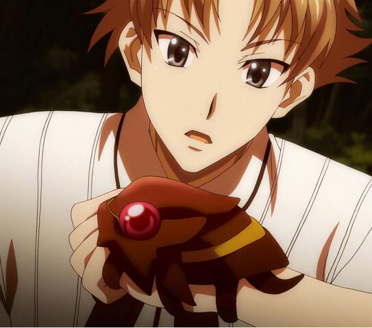 Archivo:Saji.jpg