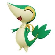 Snivy.jpg