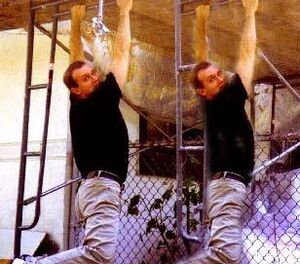 WA double cliffhanger A