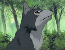 Doginukirj7