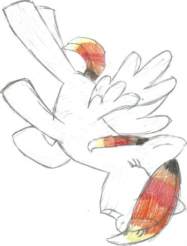 Plik:Pony 0060001.jpg
