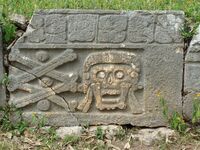 Ossoscruzados.jpg