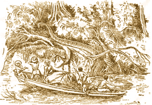 Anaconda fawcett19m.gif