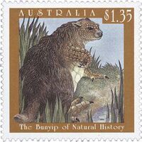 Bunyipnaturalhistory