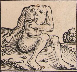 Nuremberg chronicles-Blemmyes.jpg