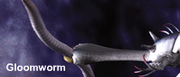 Gloomworm.png