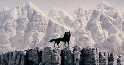 Wolf