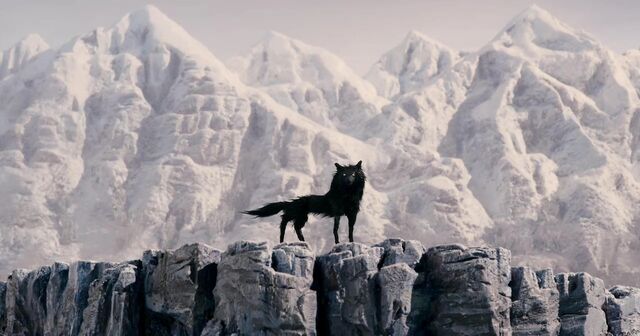 File:Wolf.jpg