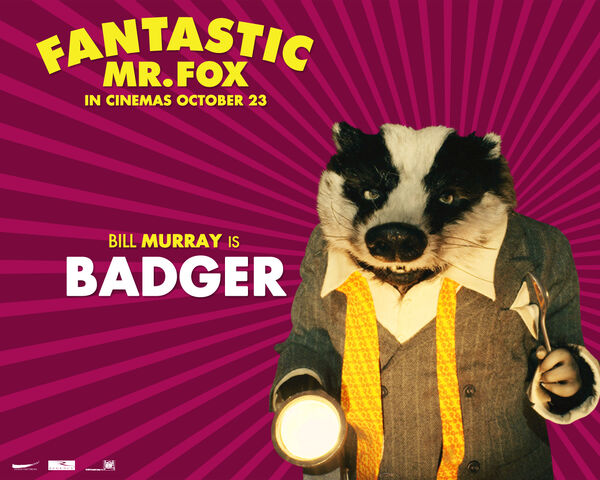 File:Badger11.jpg