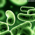 Thumbnail for version as of 19:51, September 6, 2011